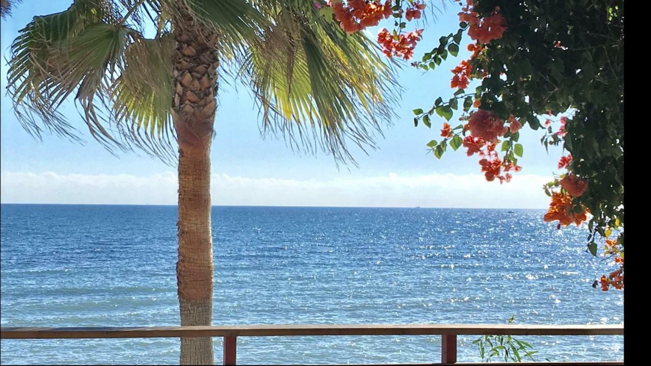 Mi Capricho 170 Beachfront Apartment Sitio de Calahonda المظهر الخارجي الصورة